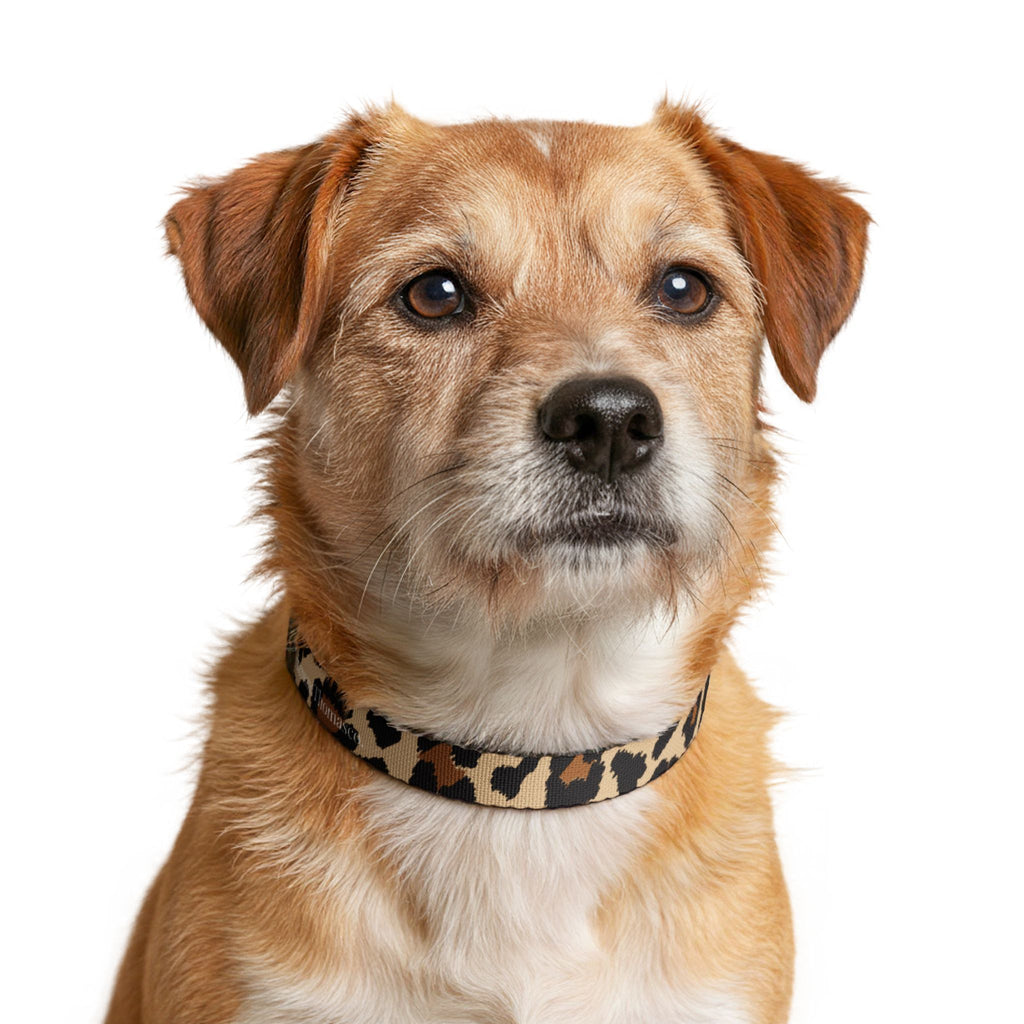 Leopard Print Clip-On Pet Collar | Adjustable Stylish Dog Collar