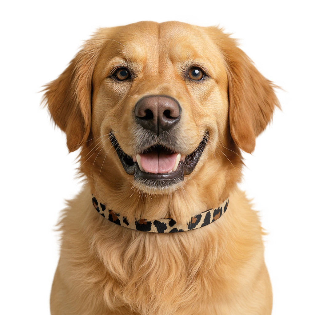 Leopard Print Clip-On Pet Collar | Adjustable Stylish Dog Collar