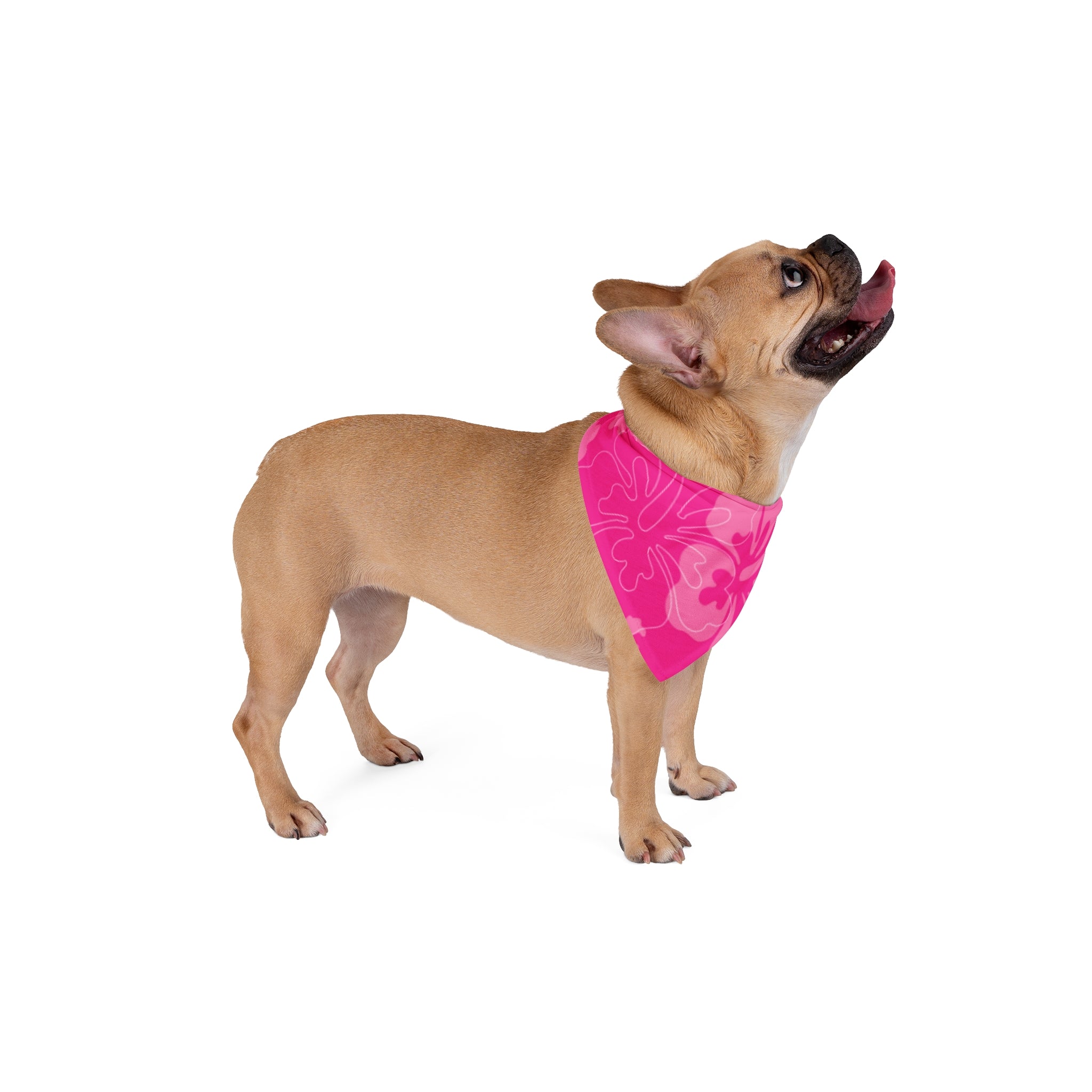 Pink Hibiscus Pet Bandana | Floral Dog & Cat Scarf