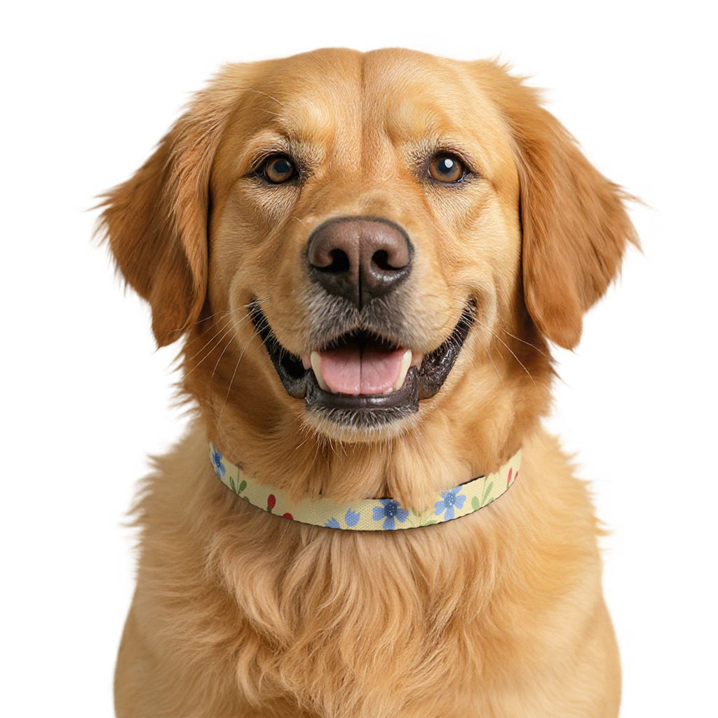 Floral Clip-On Pet Collar | Pastel Wildflower Design for Small Dogs & Cats