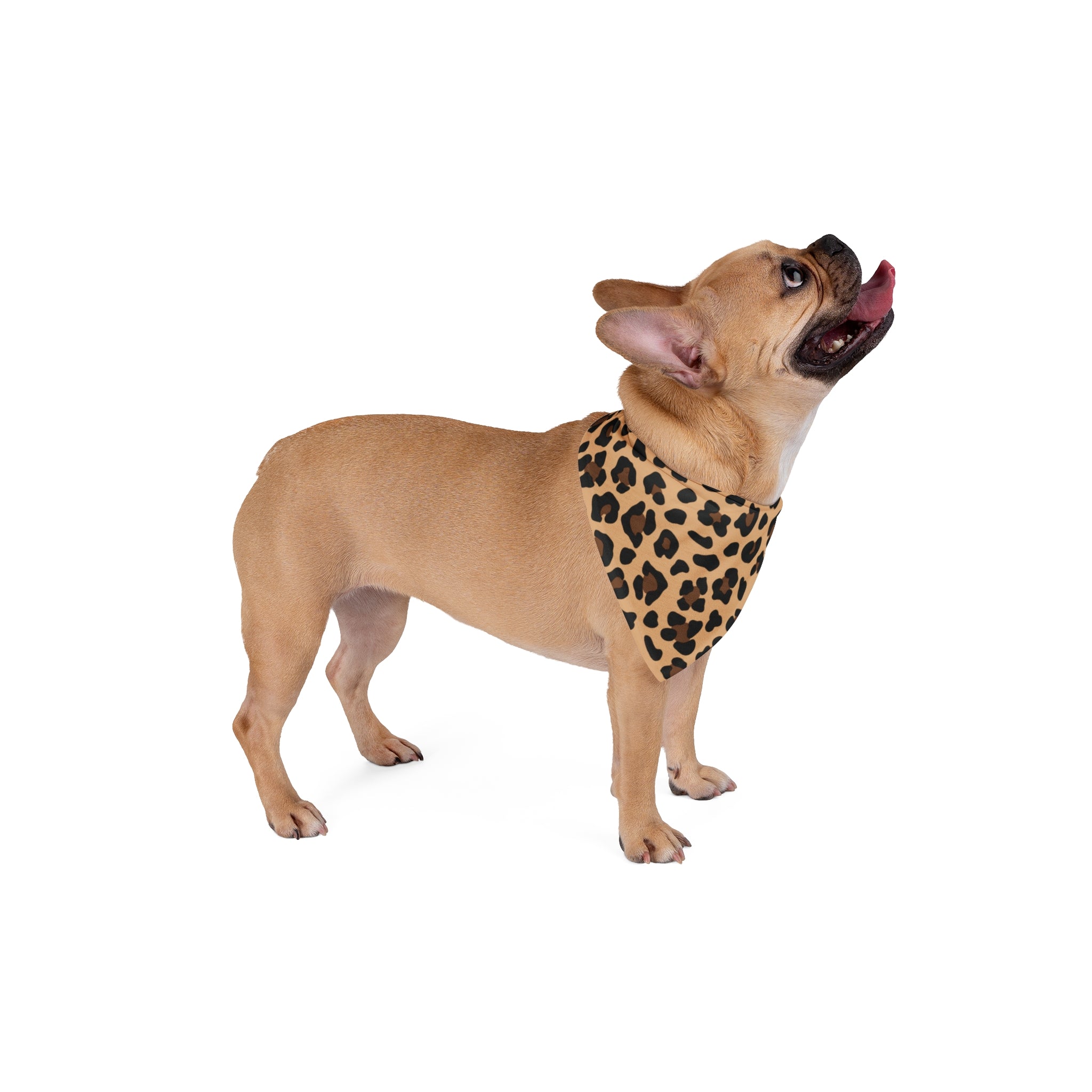 Leopard Print Pet Bandana | Chic Animal Print Dog & Cat Accessory