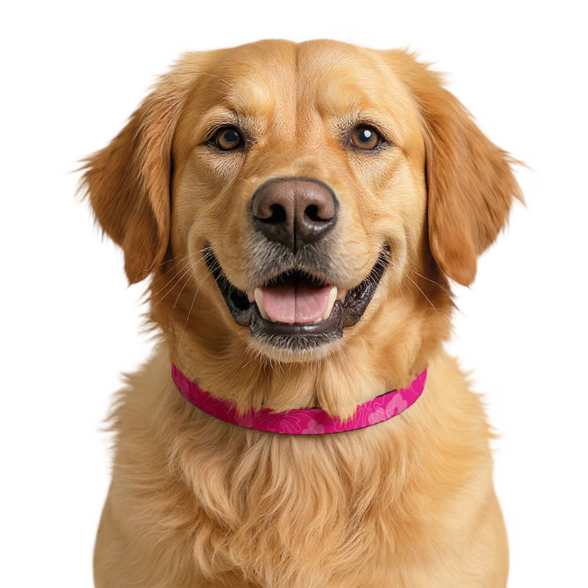 Pink Camouflage Clip-On Pet Collar | Adjustable Dog Collar