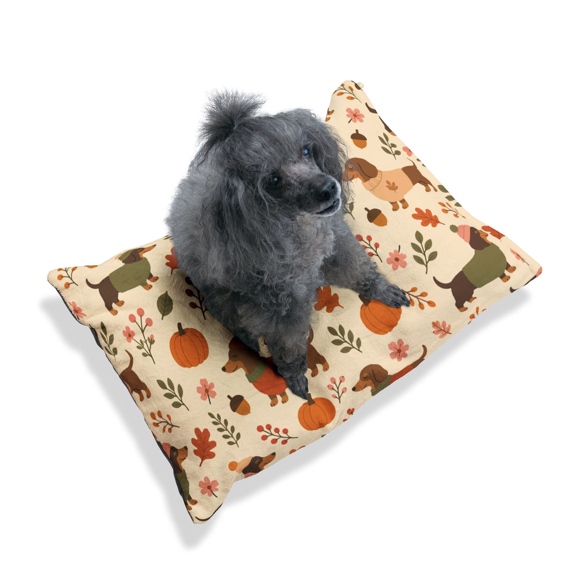 Autumn Dachshund Pet Bed — Cozy Fall Pumpkin & Sweater Dog Cushion