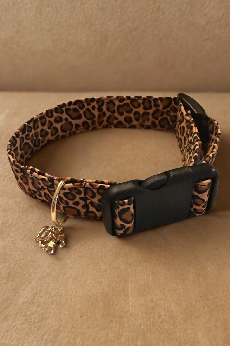 Leopard print dog collar with a black buckle on a beige background