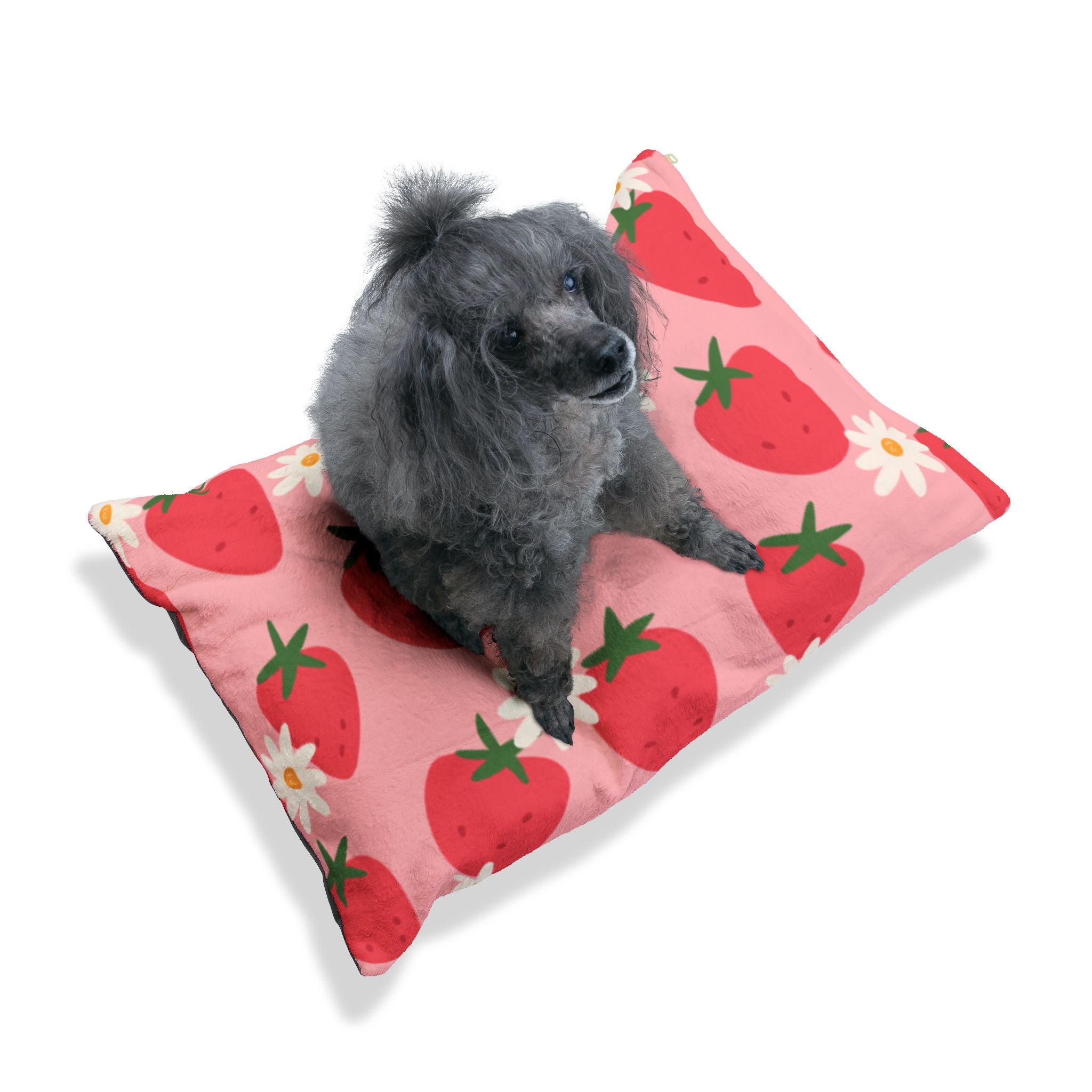 Strawberry Daisy Pet Bed Cute Pink Floral Dog & Cat Cushion