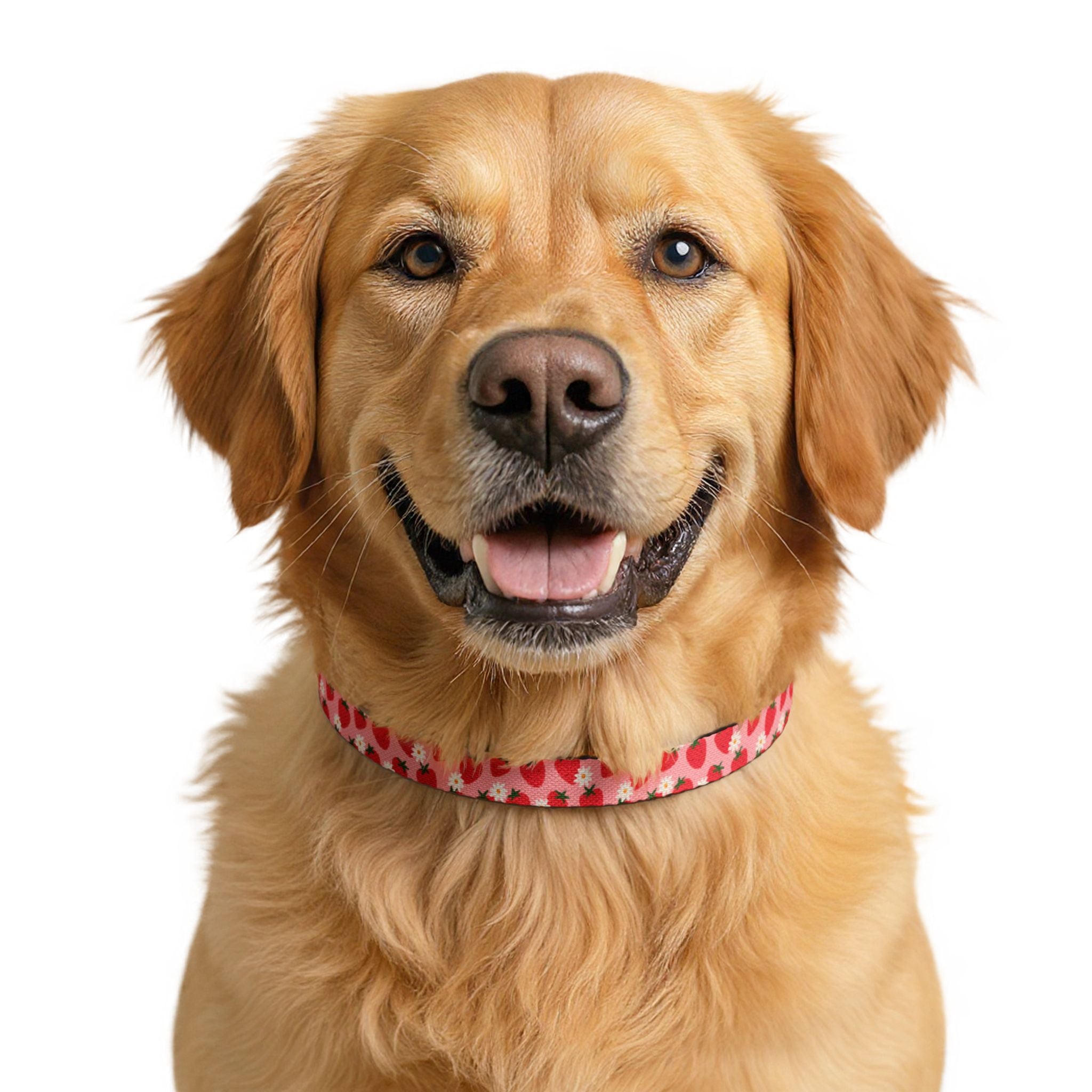 Clip-on Collar — Pink Strawberry Pattern Pet Collar