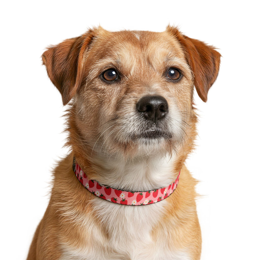 Clip-on Collar — Pink Strawberry Pattern Pet Collar