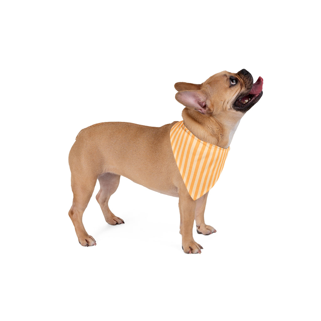 Striped Orange Pet Bandana - Cute Lightweight Triangle Collar Accessory