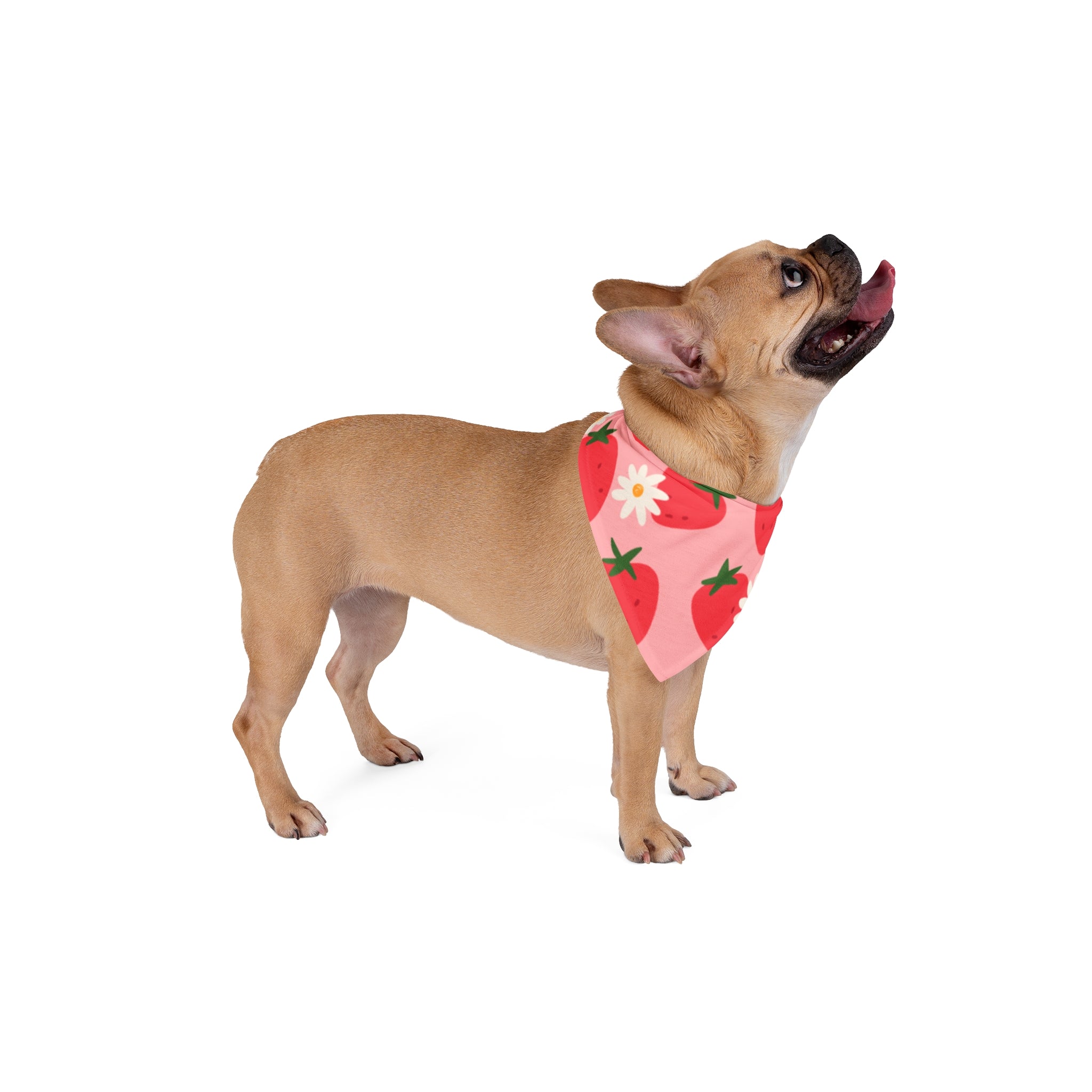 Strawberry Daisy Pet Bandana  Pink Floral Dog & Cat Neck Scarf