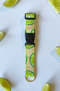 Dog collar with lime pattern and black release buckle verticle yellow stripes  metal gold d ring