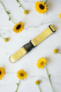 Yellow patterned dog collar with black buckle on a white background and gold d-ring 