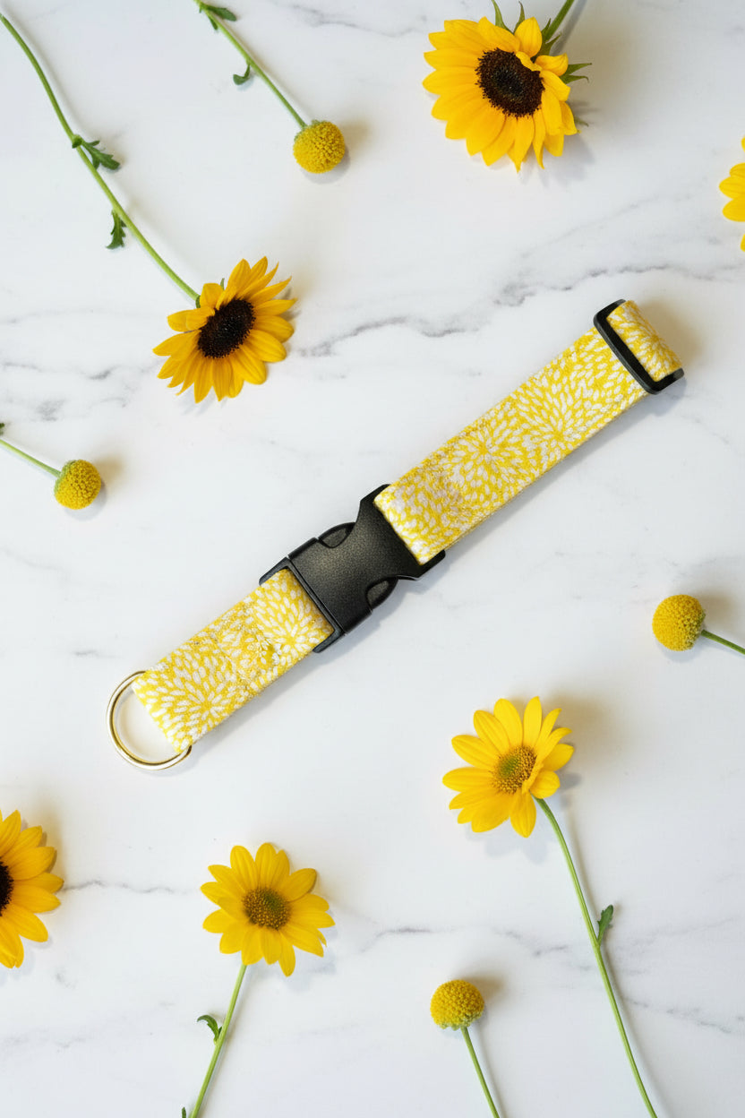 Yellow patterned dog collar with black buckle on a white background and gold d-ring 