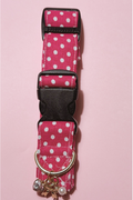 Pink polka dot dog collar with black buckle and gold charm on a pink background
