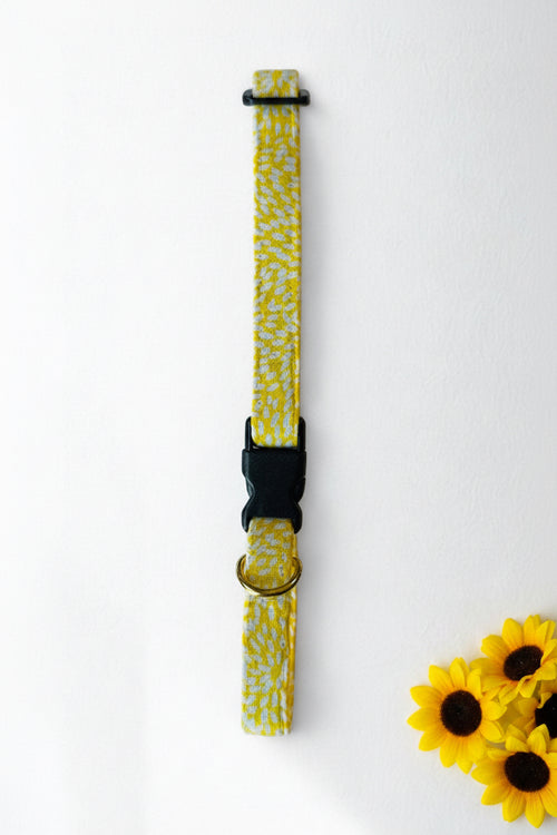 Yellow patterned dog collar with black buckle on a white background